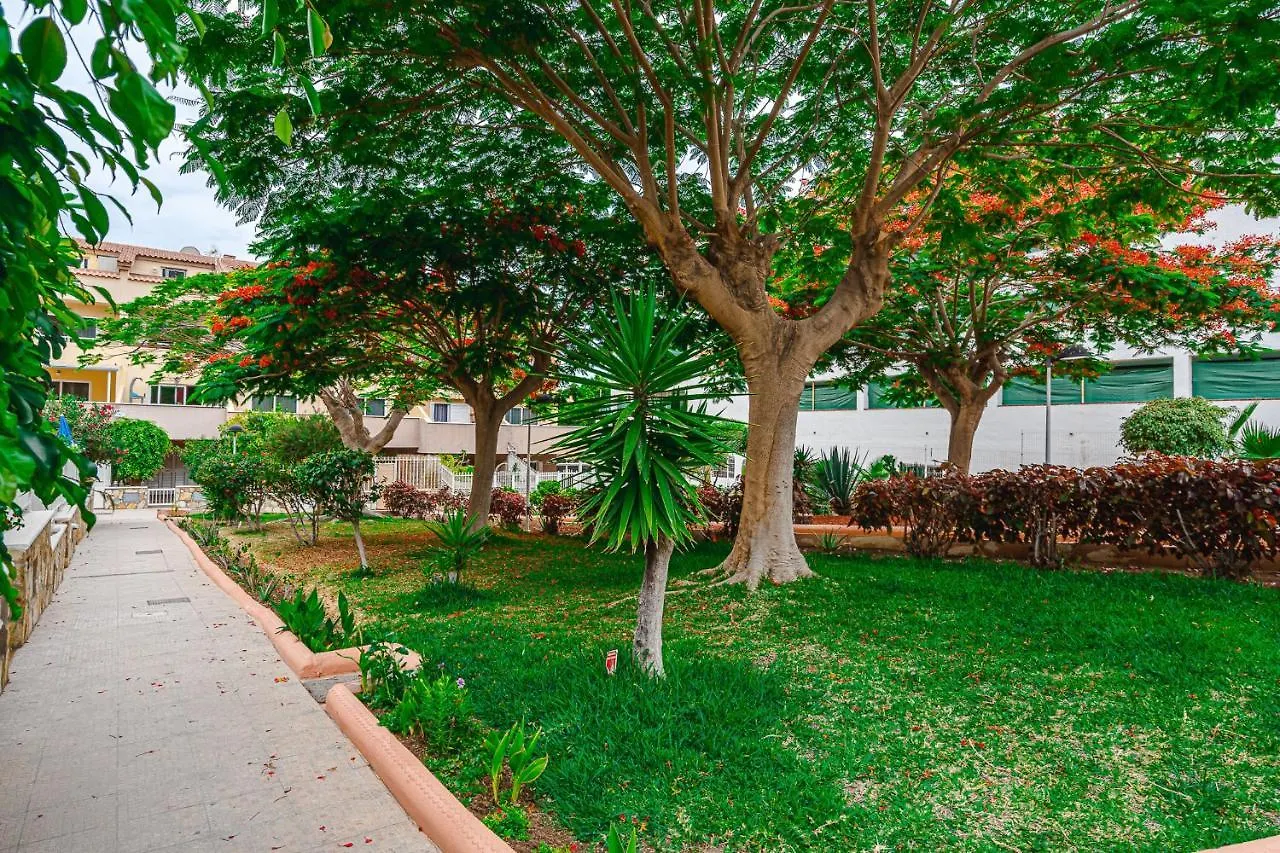 Yellow 3 Bedroom Large Apartment For 10 Guests Costa Adeje   Costa Adeje (Tenerife)